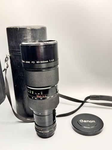 Canon zoom lens - zoom, 85-300
